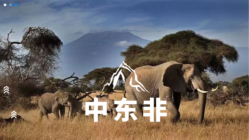 中东非